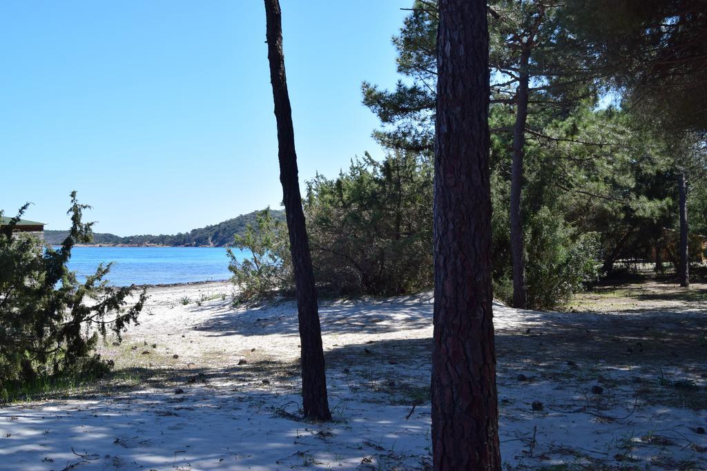 Les Hauts De Pinarello Διαμέρισμα Sainte-Lucie de Porto-Vecchio Εξωτερικό φωτογραφία