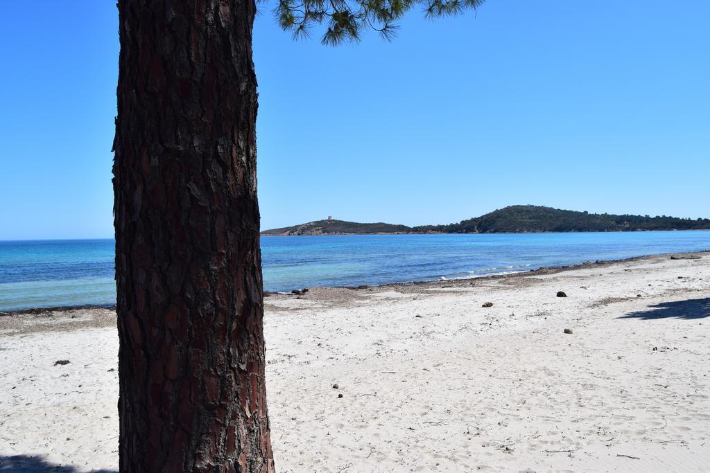 Les Hauts De Pinarello Διαμέρισμα Sainte-Lucie de Porto-Vecchio Εξωτερικό φωτογραφία